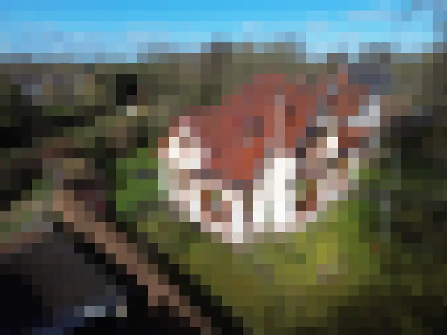 de Gast 34 Zuidhorn thumbnail 61