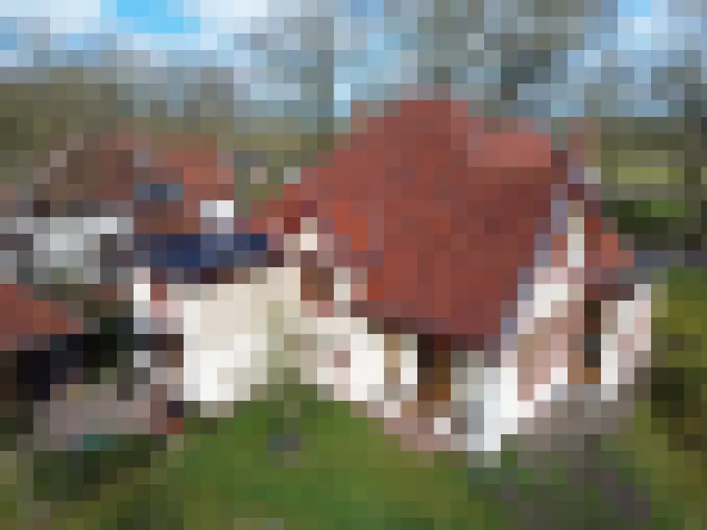 de Gast 34 Zuidhorn thumbnail 62