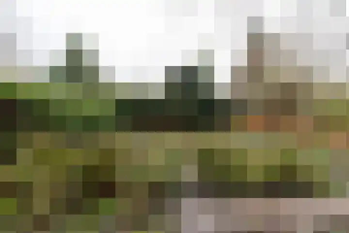 de Gast 8 a Zuidhorn thumbnail 21