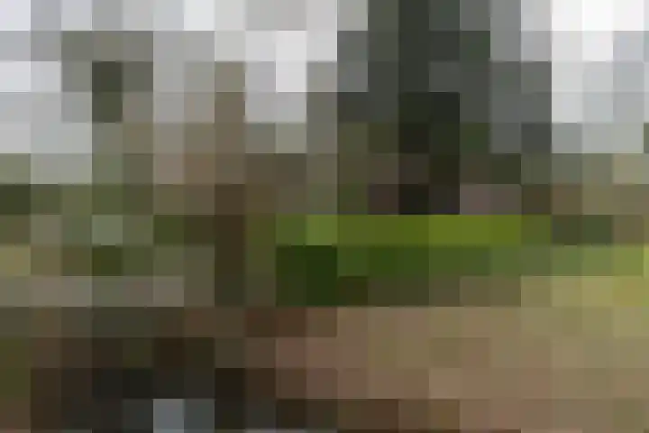 de Gast 8 a Zuidhorn thumbnail 4