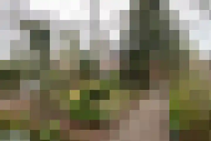 de Gast 8 a Zuidhorn thumbnail 47
