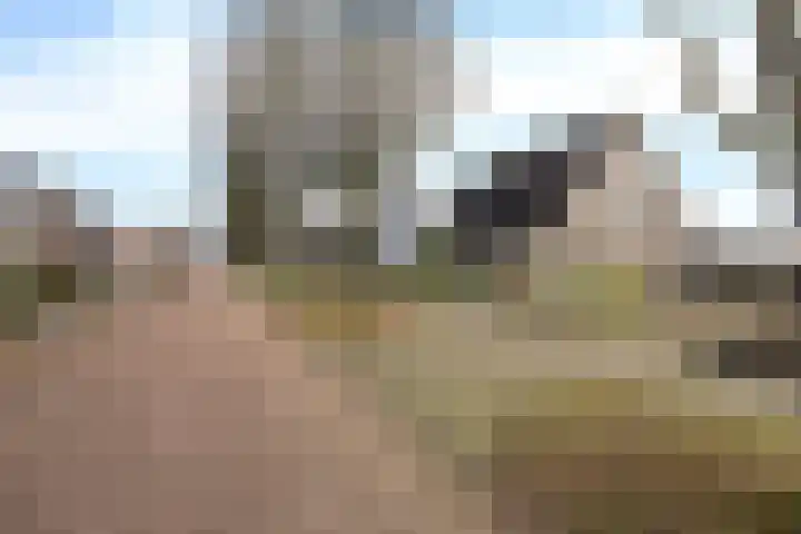 De Gasthuislanden 18 Schoonebeek thumbnail 10