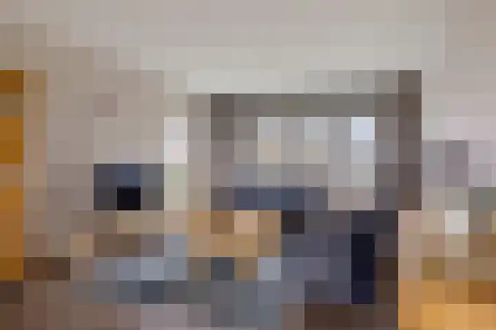 De Gasthuislanden 18 Schoonebeek thumbnail 14