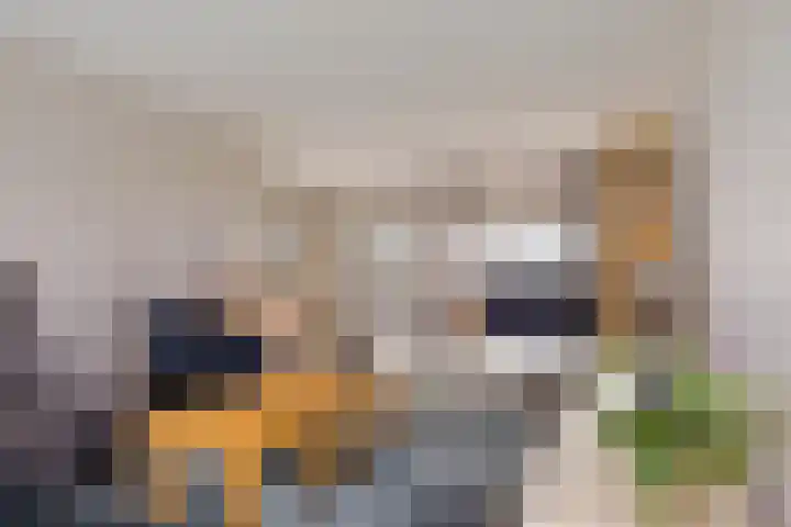 De Gasthuislanden 18 Schoonebeek thumbnail 15