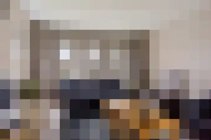 De Gasthuislanden 18 Schoonebeek thumbnail 16