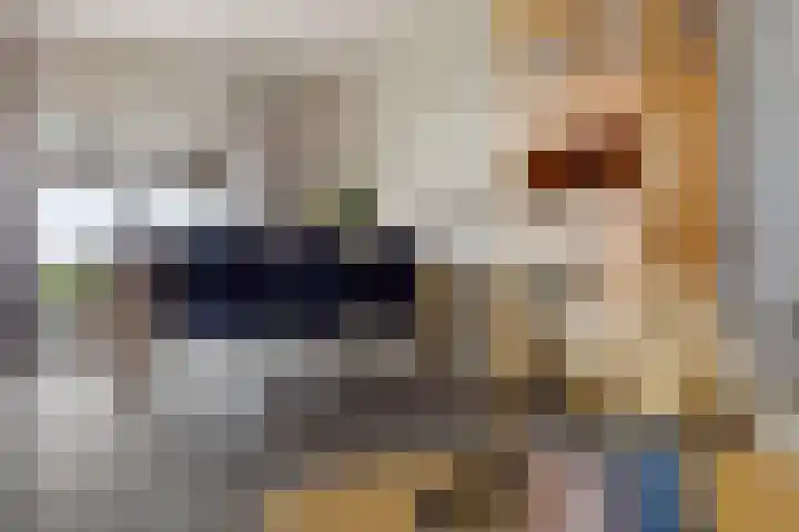 De Gasthuislanden 18 Schoonebeek thumbnail 17