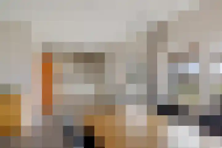 De Gasthuislanden 18 Schoonebeek thumbnail 20