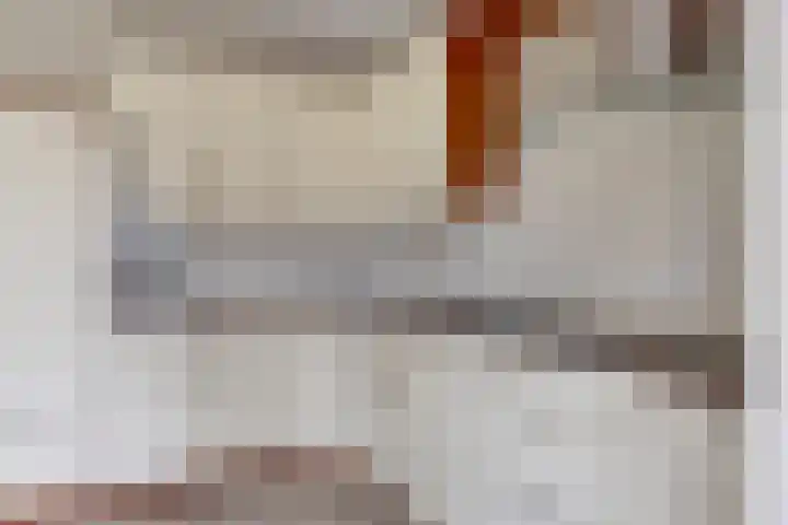 De Gasthuislanden 18 Schoonebeek thumbnail 22