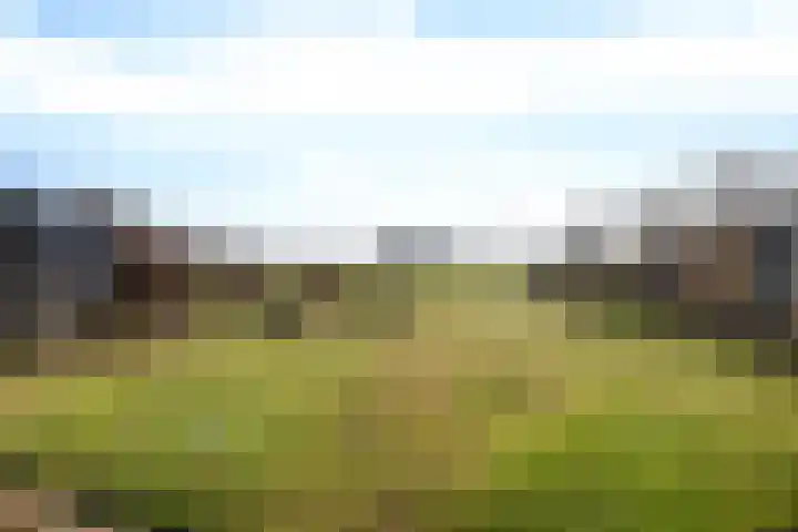 De Gasthuislanden 18 Schoonebeek thumbnail 4