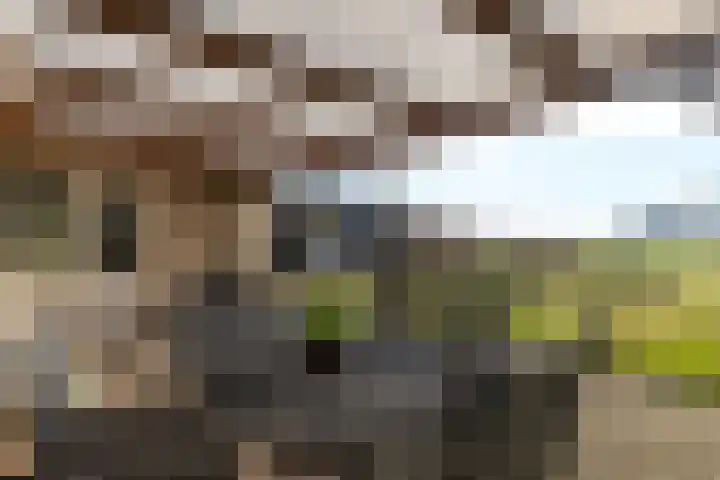 De Gasthuislanden 18 Schoonebeek thumbnail 48
