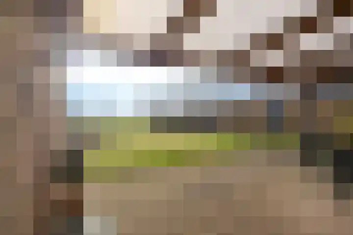 De Gasthuislanden 18 Schoonebeek thumbnail 49