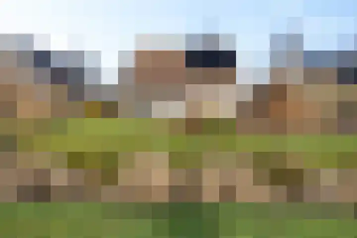 De Gasthuislanden 18 Schoonebeek thumbnail 5