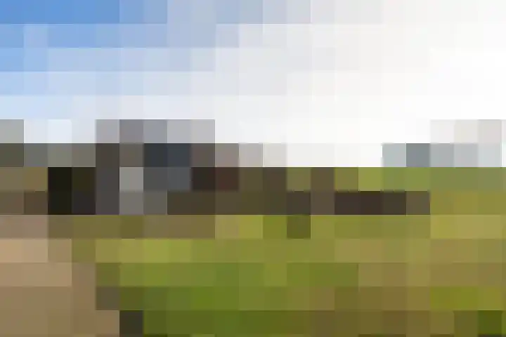 De Gasthuislanden 18 Schoonebeek thumbnail 50