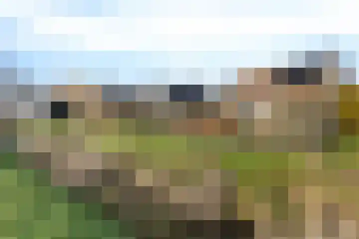De Gasthuislanden 18 Schoonebeek thumbnail 52