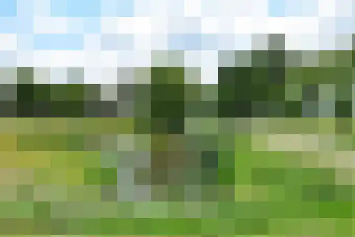 De Gasthuislanden 18 Schoonebeek thumbnail 54
