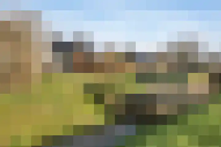 De Gasthuislanden 18 Schoonebeek thumbnail 6
