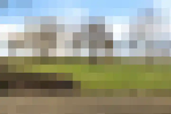 De Gasthuislanden 18 Schoonebeek thumbnail 7