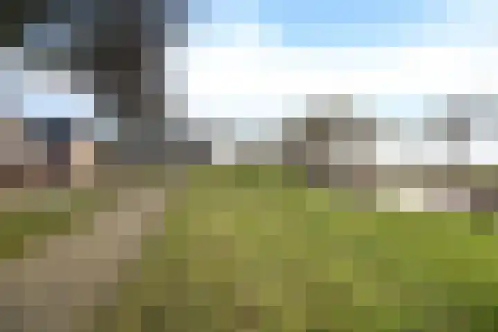 De Gasthuislanden 18 Schoonebeek thumbnail 8