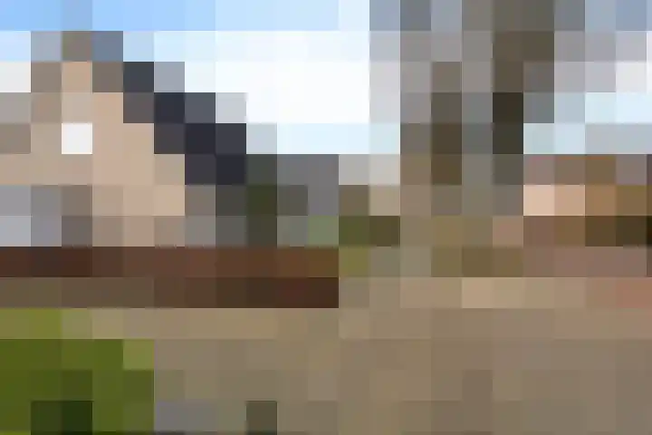 De Gasthuislanden 18 Schoonebeek thumbnail 9
