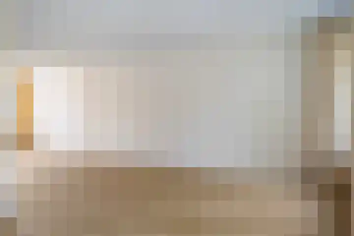De Gasthuislanden 19 Schoonebeek thumbnail 10