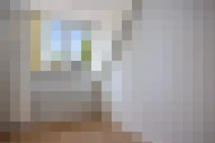 De Gasthuislanden 19 Schoonebeek thumbnail 21