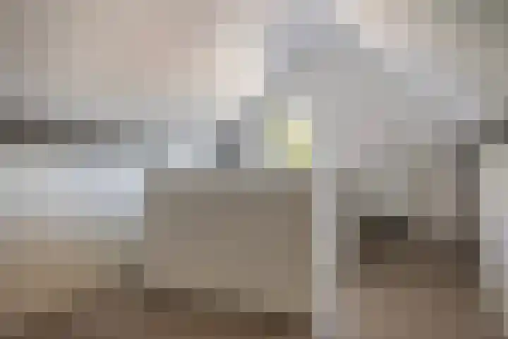 De Gasthuislanden 19 Schoonebeek thumbnail 25