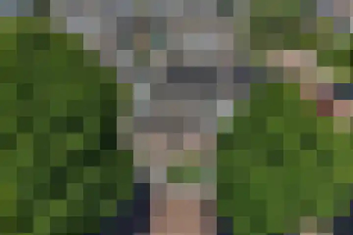 De Gasthuislanden 19 Schoonebeek thumbnail 27