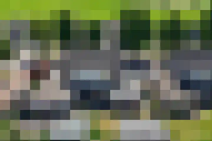 De Gasthuislanden 19 Schoonebeek thumbnail 6