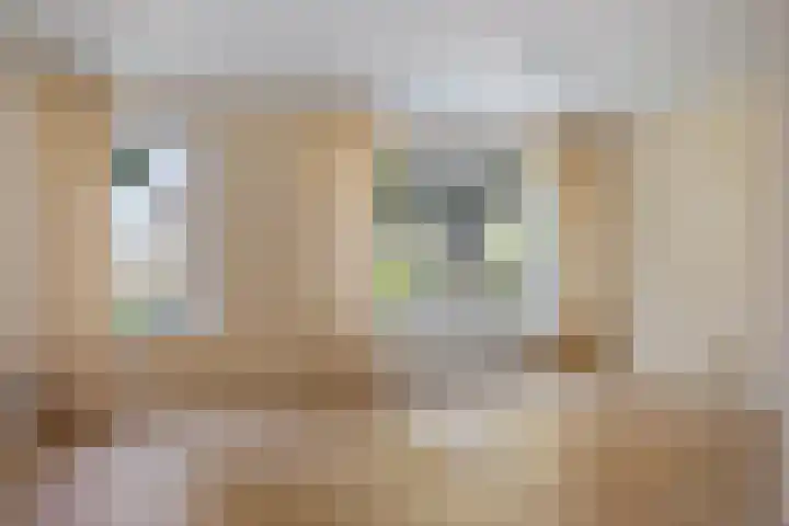 De Gasthuislanden 19 Schoonebeek thumbnail 9