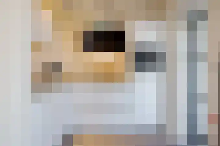 De Gasthuislanden 23 Schoonebeek thumbnail 15