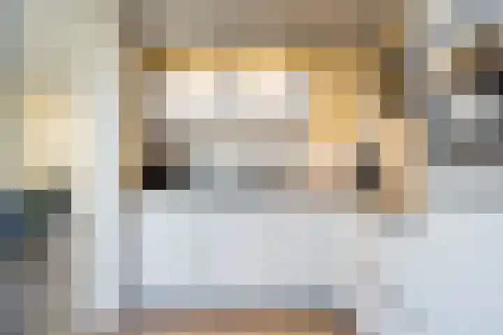 De Gasthuislanden 23 Schoonebeek thumbnail 16