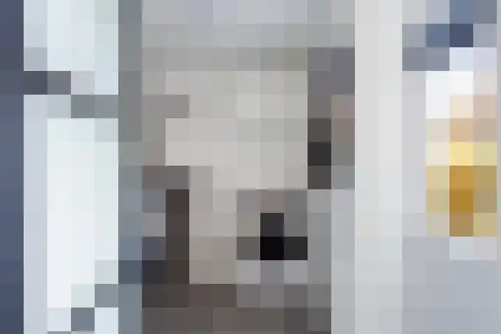 De Gasthuislanden 23 Schoonebeek thumbnail 17