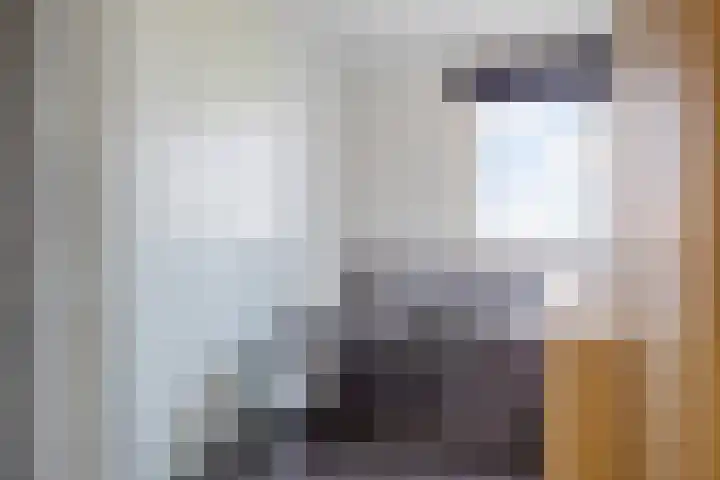De Gasthuislanden 23 Schoonebeek thumbnail 20