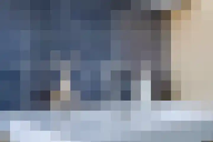 De Gasthuislanden 23 Schoonebeek thumbnail 22