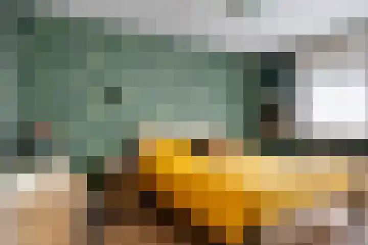 De Gasthuislanden 23 Schoonebeek thumbnail 25