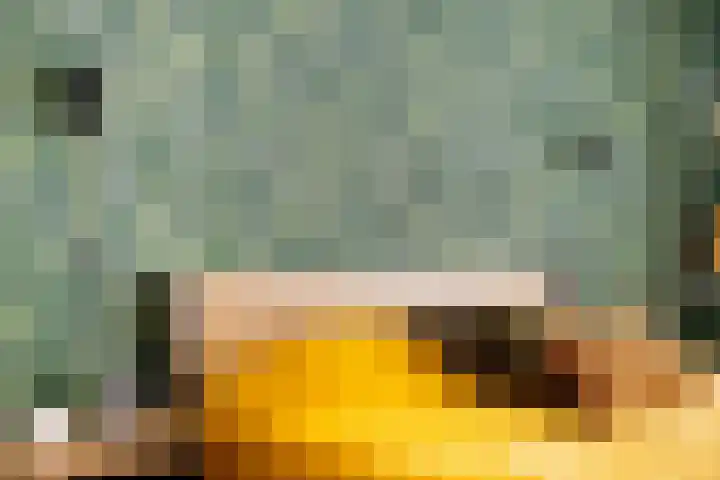 De Gasthuislanden 23 Schoonebeek thumbnail 27