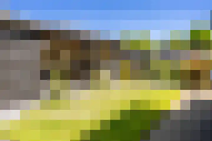 De Gasthuislanden 23 Schoonebeek thumbnail 32