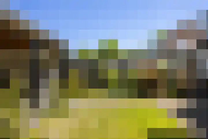 De Gasthuislanden 23 Schoonebeek thumbnail 33