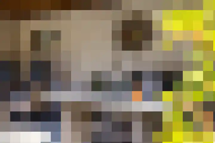 De Gasthuislanden 23 Schoonebeek thumbnail 34