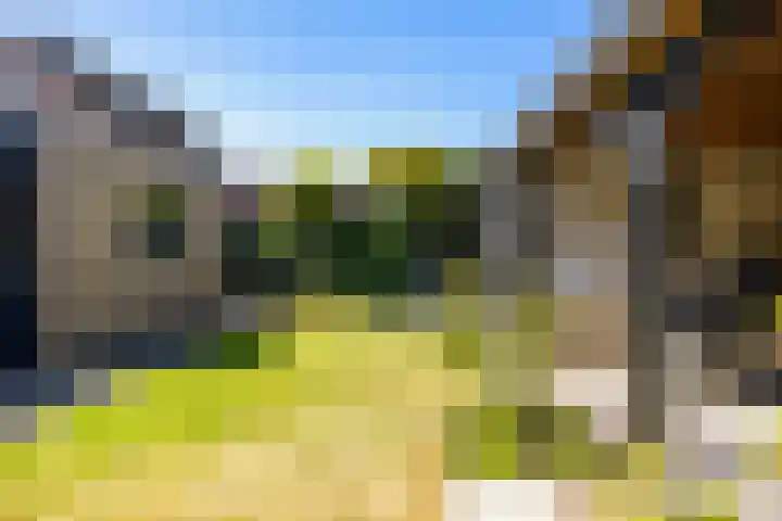 De Gasthuislanden 23 Schoonebeek thumbnail 38