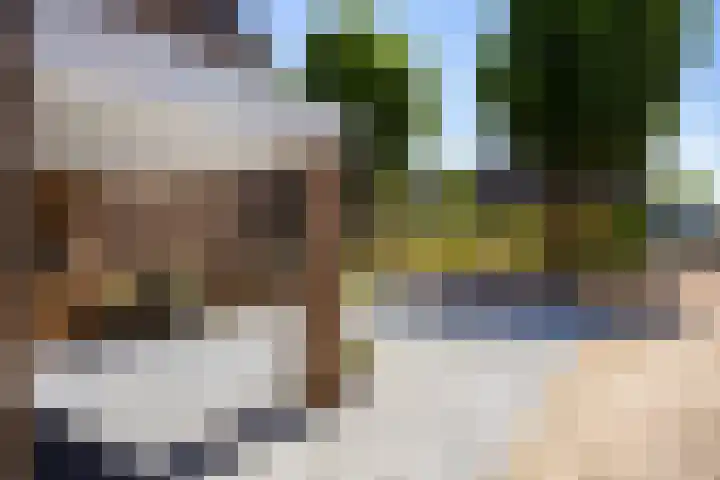 De Gasthuislanden 23 Schoonebeek thumbnail 4