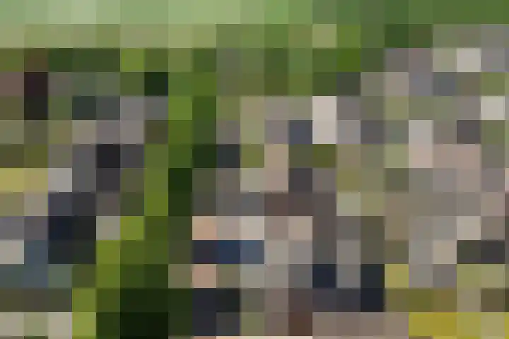 De Gasthuislanden 23 Schoonebeek thumbnail 40