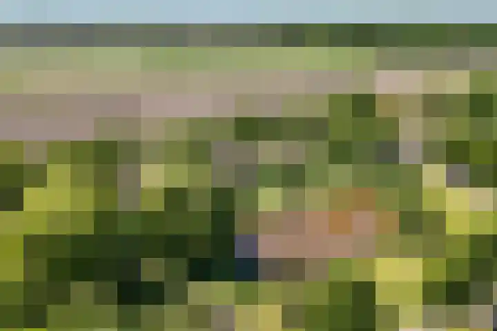 De Gasthuislanden 23 Schoonebeek thumbnail 41