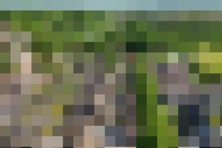 De Gasthuislanden 23 Schoonebeek thumbnail 42