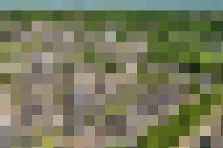 De Gasthuislanden 23 Schoonebeek thumbnail 43