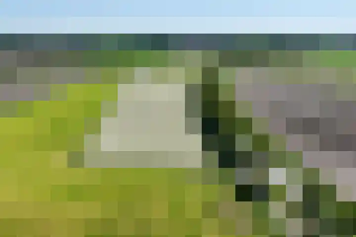 De Gasthuislanden 23 Schoonebeek thumbnail 44