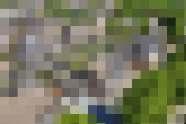 De Gasthuislanden 23 Schoonebeek thumbnail 45
