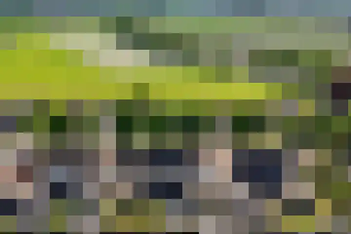 De Gasthuislanden 23 Schoonebeek thumbnail 46