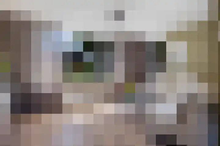 De Gasthuislanden 23 Schoonebeek thumbnail 8
