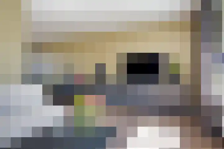 De Gasthuislanden 23 Schoonebeek thumbnail 9